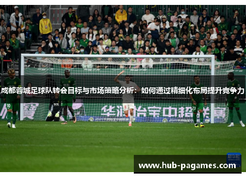 成都蓉城足球队转会目标与市场策略分析：如何通过精细化布局提升竞争力